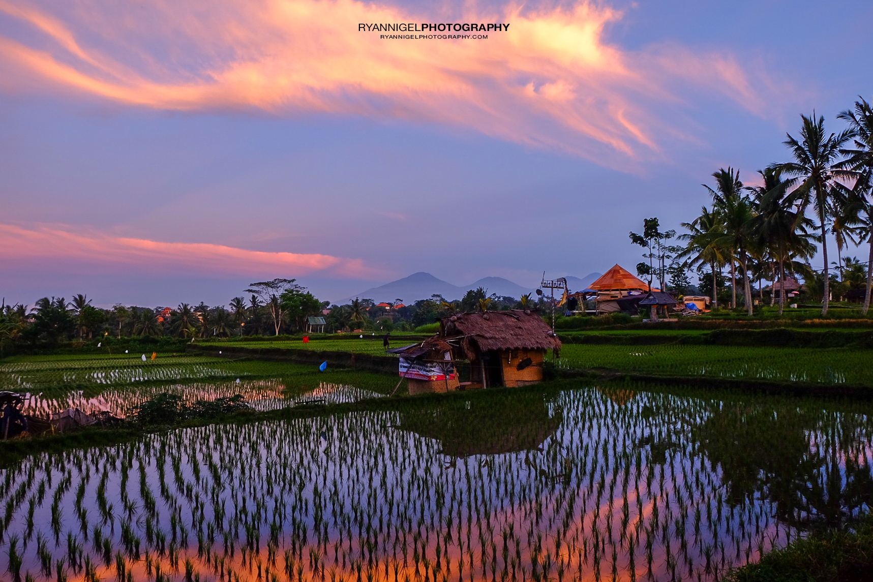 Sunrise in Ubud Bali - ryannigelphotography.com