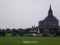img_2119_6287269928_o