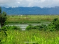img_1565_6244046310_o