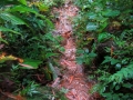 img_1935_6246555891_o