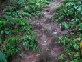 img_1938_6247087206_o