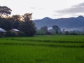 img_2012_6287039752_o