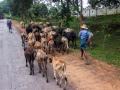 img_2025_6286557711_o