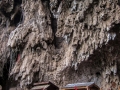 img_2068_6286659819_o
