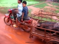 cambodia real life 3