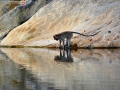 lake port 1