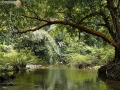 lake port 3