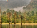 lake port 5