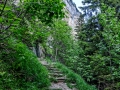 DSCF6644e
