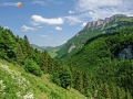 DSCF6676e
