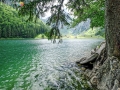 DSCF6733e