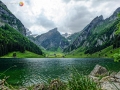 DSCF6816e