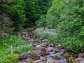 DSCF6935e