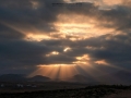 DSCF0849e