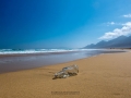 DSCF0993e