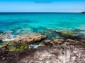 DSCF1078e