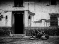 china (19)e