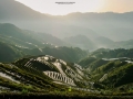 riceterraces china
