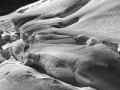 _MG_1654e