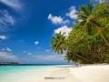 maledives 11