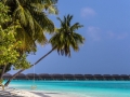 maledives 6