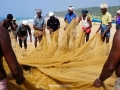 marari beach nets