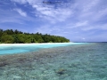 reef 2