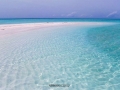 sandreef 2