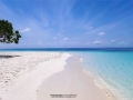 sandreef 3