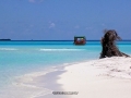 sandreef 4