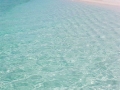 sandreef 5