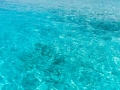 sandreef 6