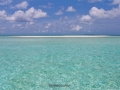 sandreef
