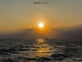 sunset 5