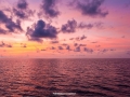 sunset 8