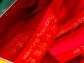 DSCF8615