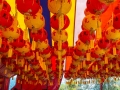 DSCF8634