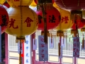 DSCF8668