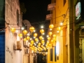 DSCF8764