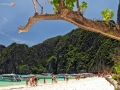 phi phi islands 16