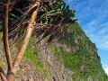 phi phi islands 30
