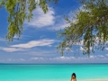 phi phi islands 37