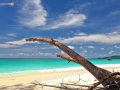 phi phi islands 38