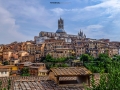 siena