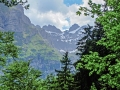 DSCF6651e