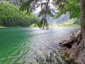 DSCF6734e