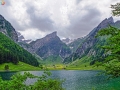 DSCF6804e