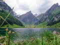 DSCF6807e