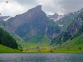 DSCF6815e