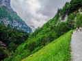 DSCF69261e